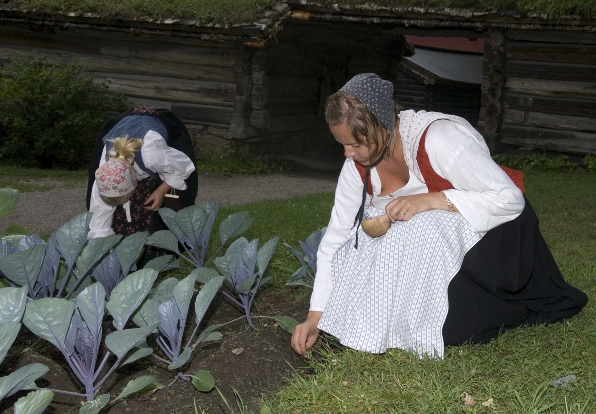 Levendegjøring på museum.
Ferieskolen uke 31, 2008.
Luking av grøntsaker i Østerdalen.