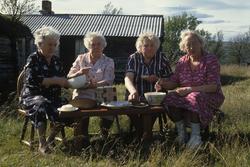 Søstrene, f.v Kari Endavoll, Berit Voll, Marit Setermo og In