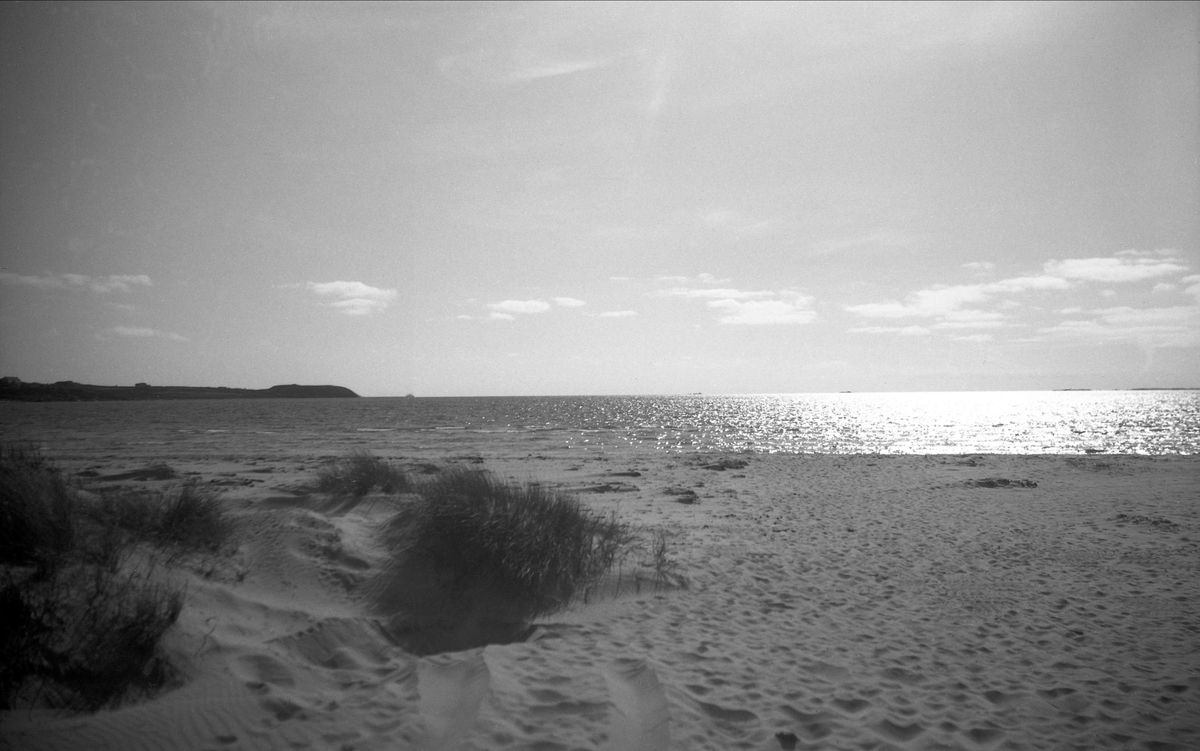 Utsikt mot havet ved Sola. Fotografert 1951 under biltur fra Oslo til Bergen.