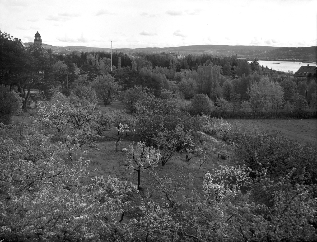 Utsikt fra balkongen i 2.etasje i P.T. Mallingsvei 4, Bygdøy. Fotografert 1934.