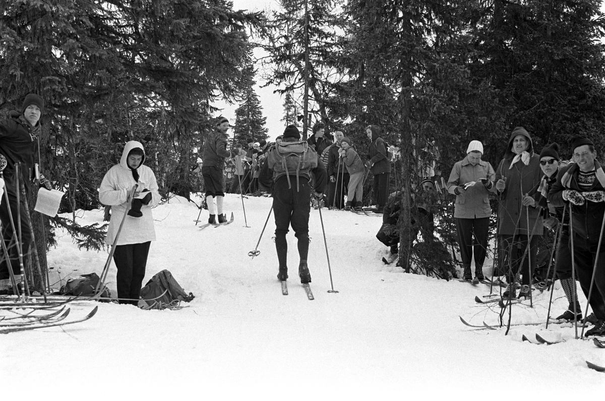 Deltaker i sporet. Publikum langs løypa.  Birkebeinerrennet fra Rena til Lillehammer 1963.