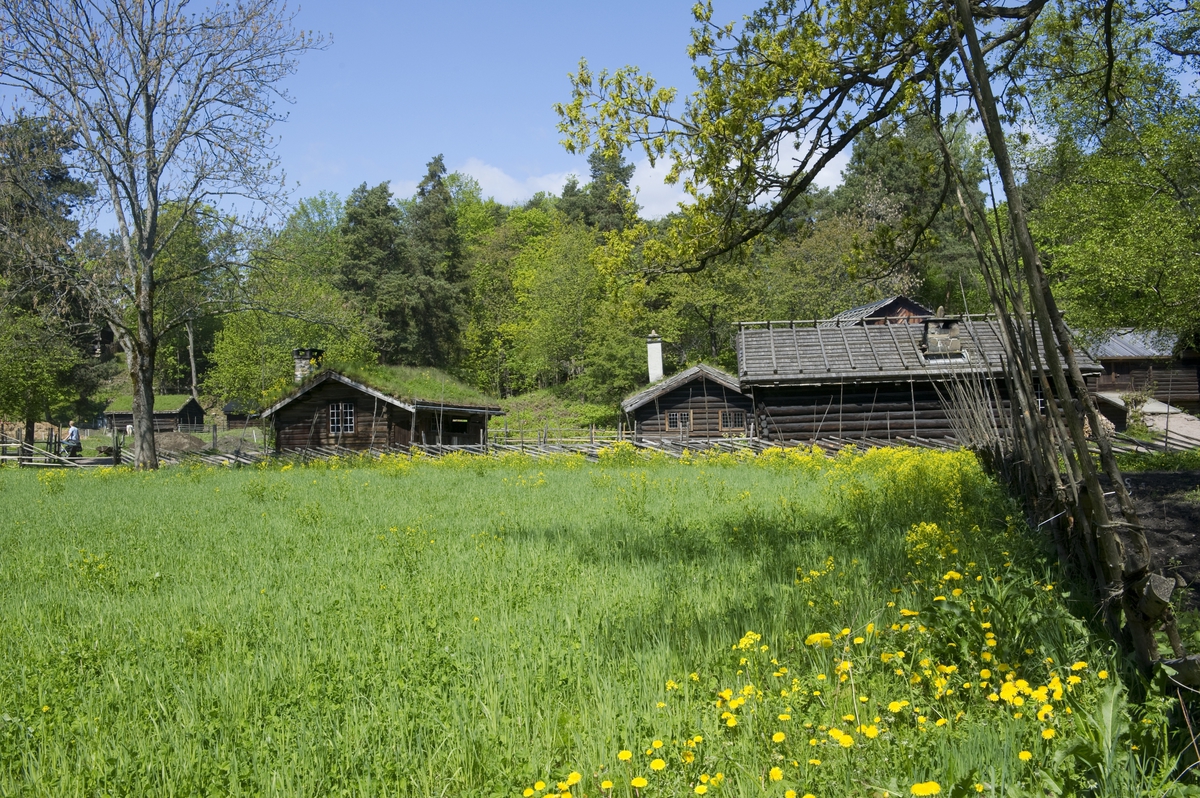 Numedalstunet på Norsk Folkemuseum, 20. mai 2012.