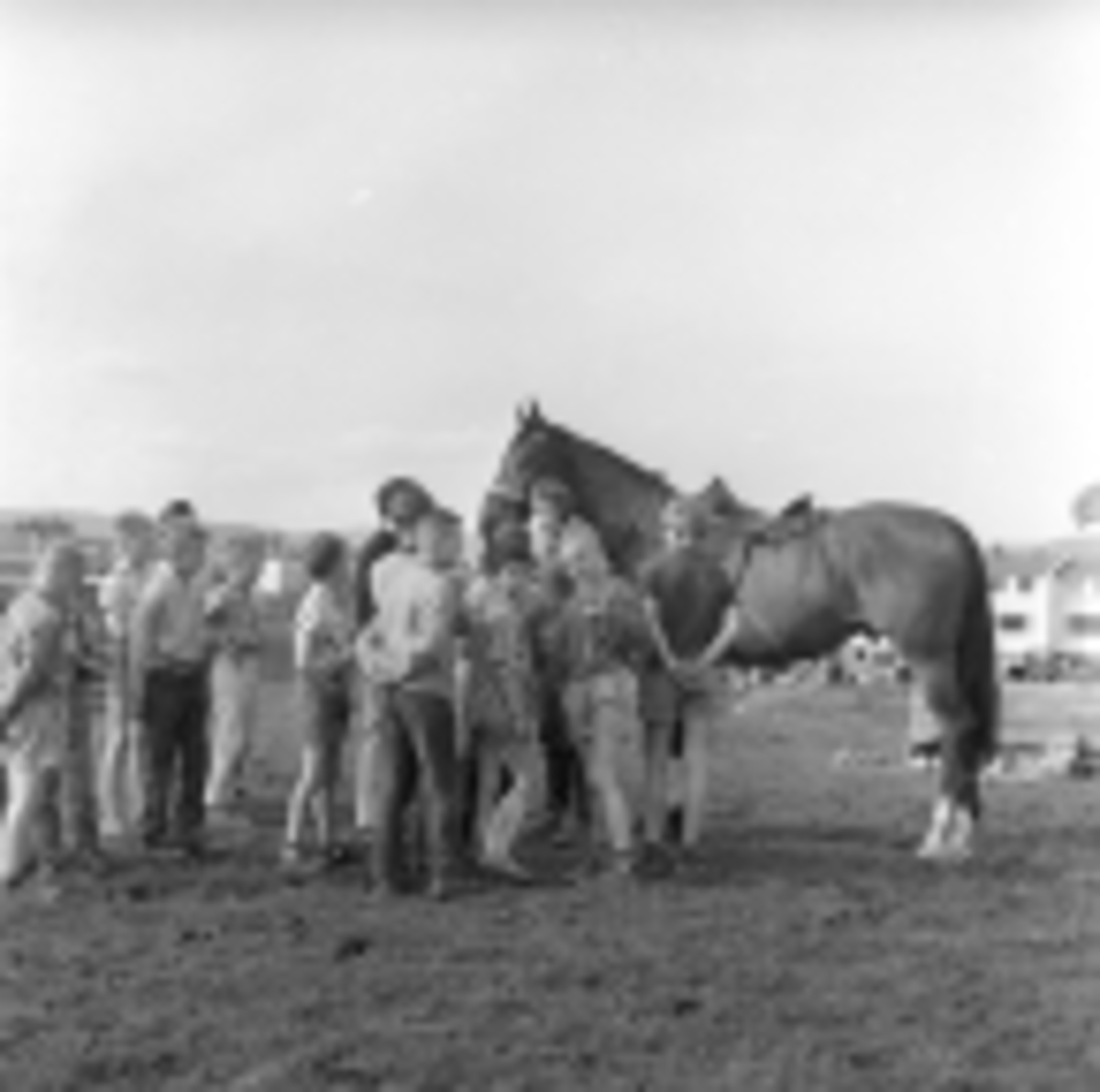 Gruppe mennesker og en hest på Kjelsås hos Jaques Bergen.
Fotografert 1963.