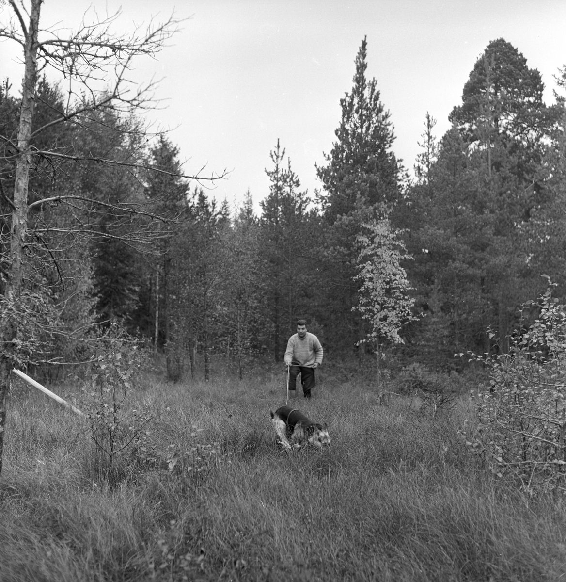 Politihund-konkurranse ved Hamar.
Fotografert 1963