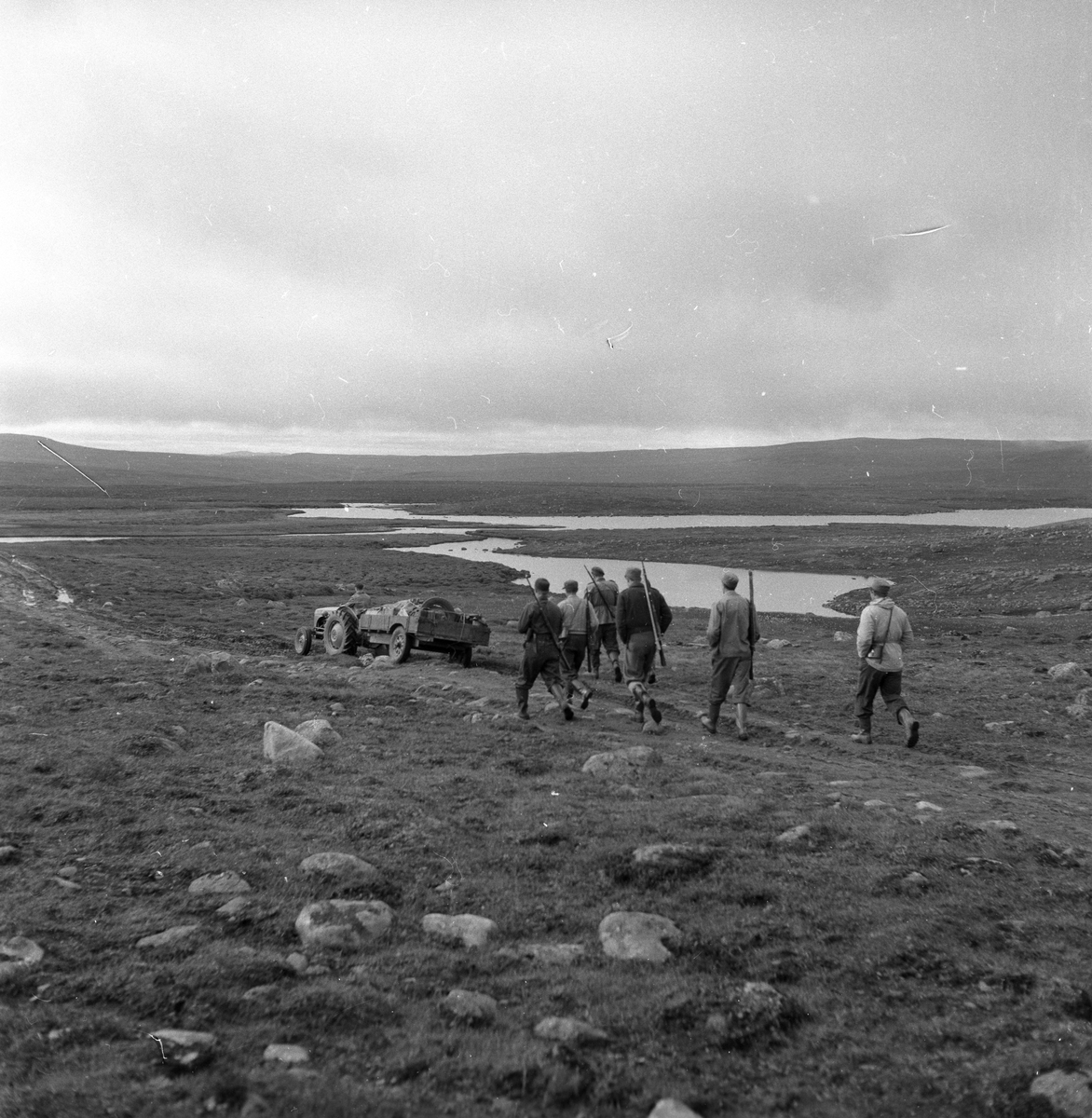 Villreinjakt på fjellet.
Fotografert 1954.