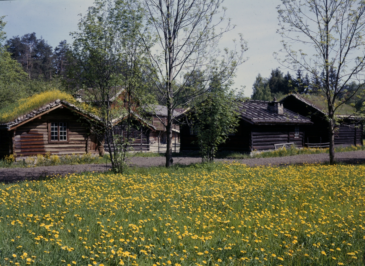 Stuer fra Numedalstunet i friluftsmuseet på Norsk Folkemuseum