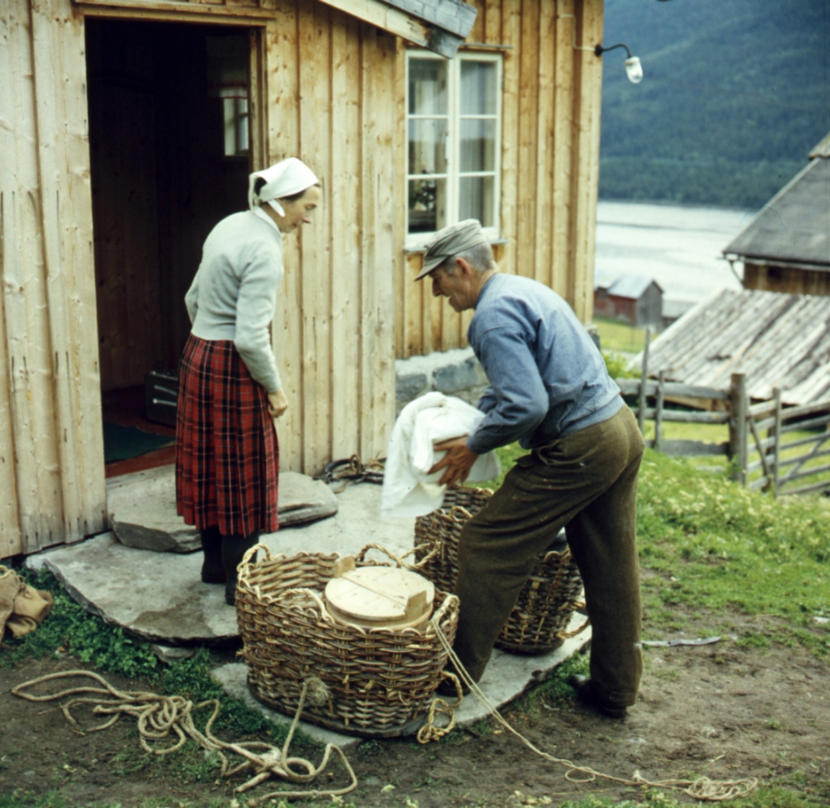 Buføring hos Eilif Hefte i Ål i Hallingdal, 1963.