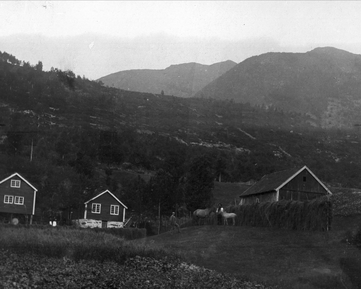 Avfotografering. Gårdsbruk med hesjer og hester i åslandskap.