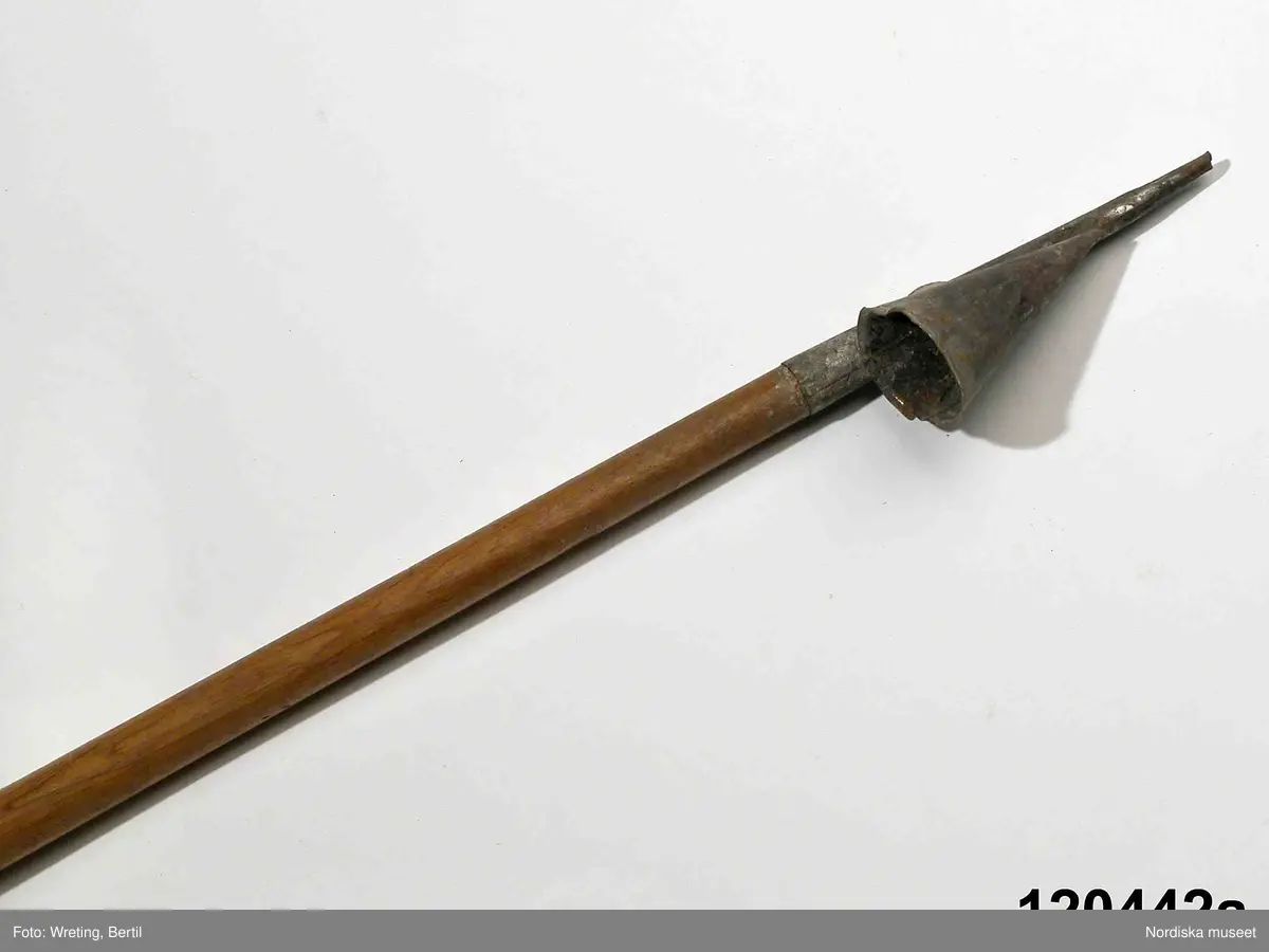 Käpp