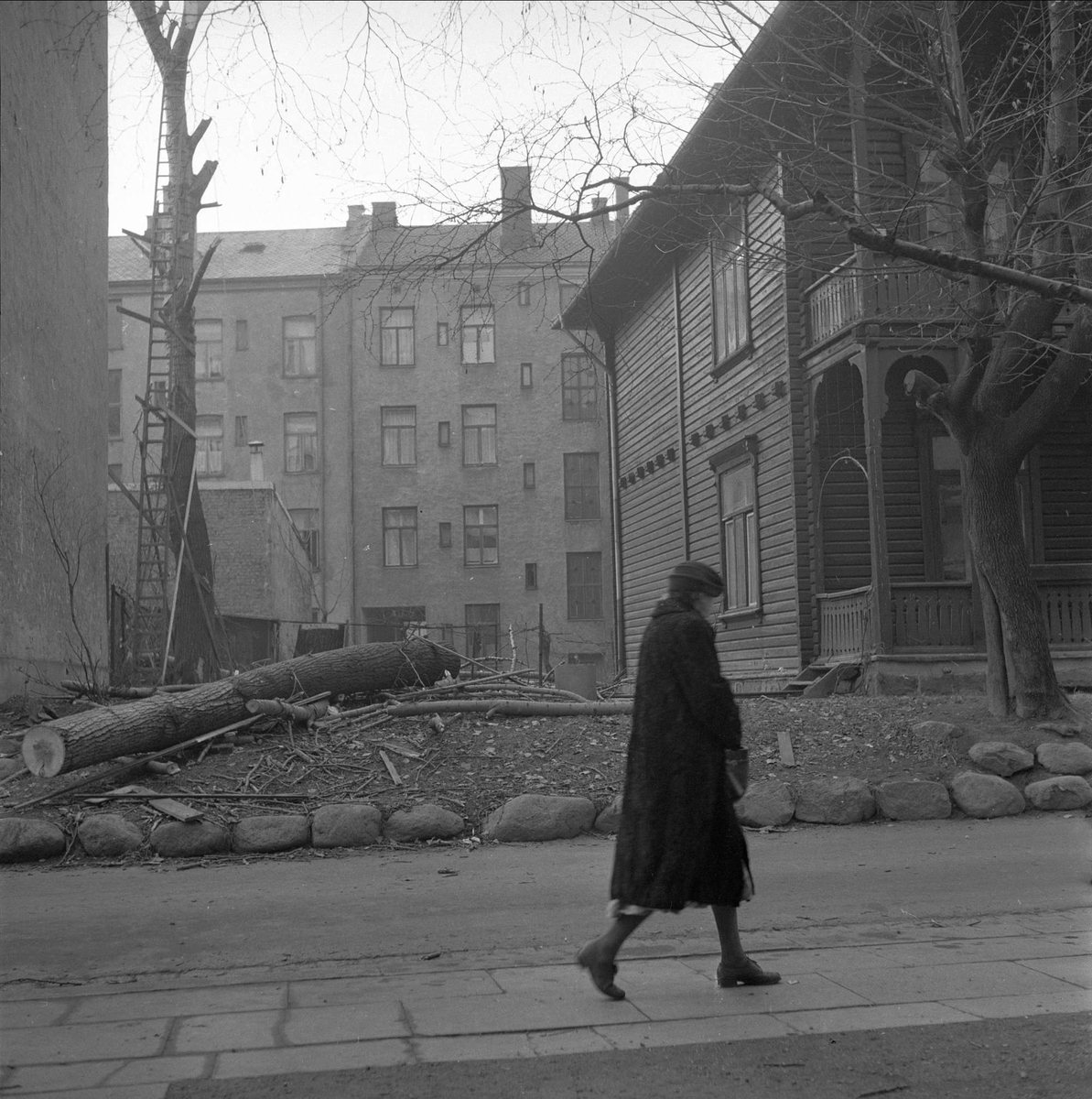 Bybilder, trefelling, Oslo, 20.11.1956