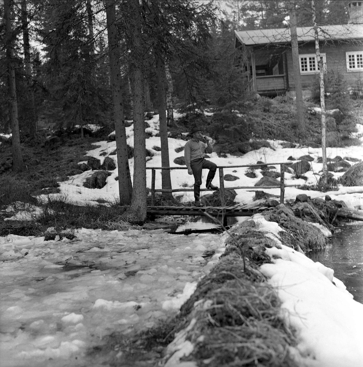 Mann på bru i skog med hytte, april 1963.