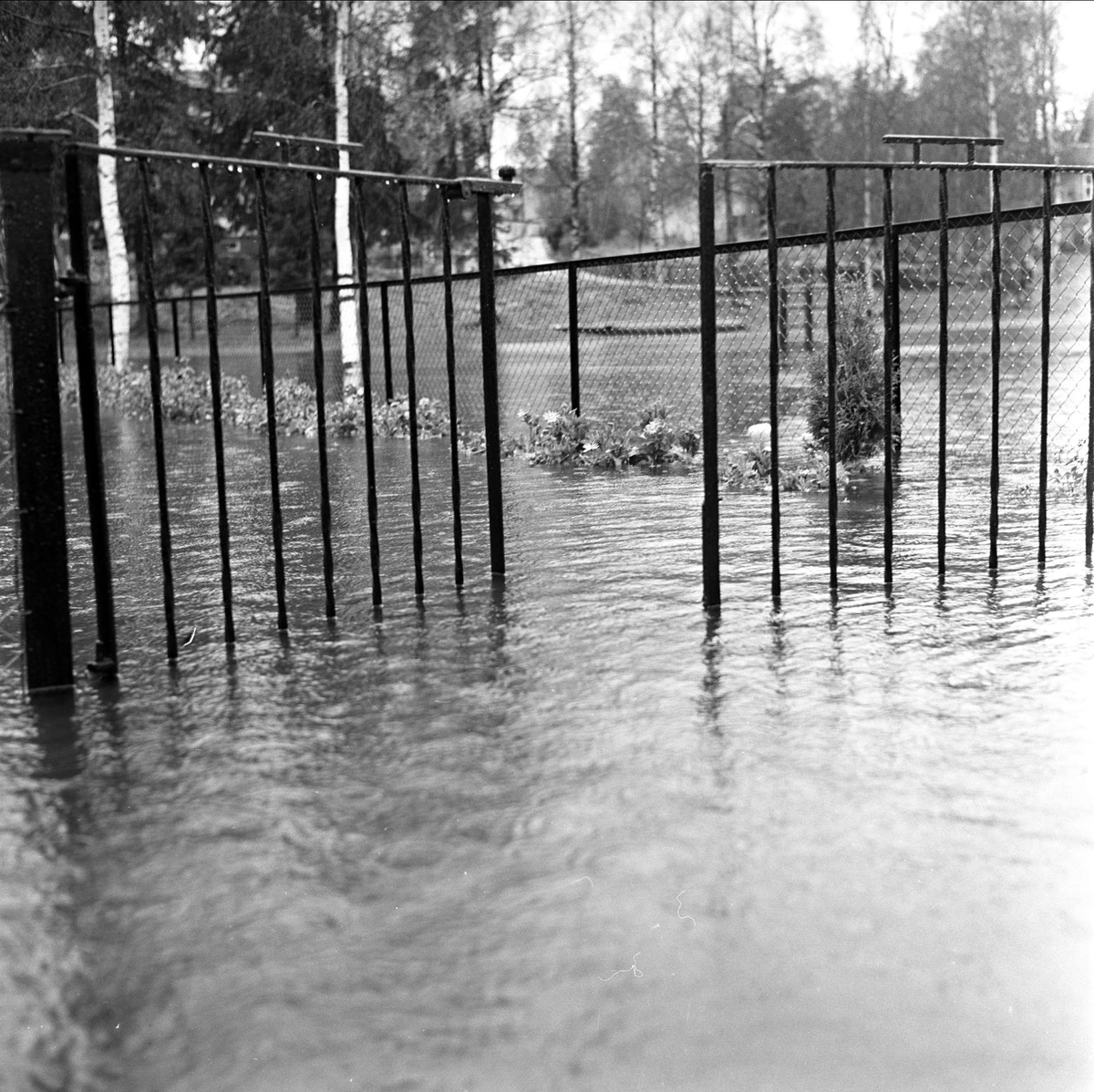 Flom på Høybråten. Vann med gjerder. Oslo 14.10.1964.