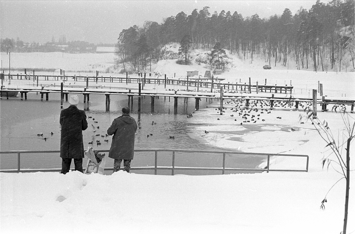 Snø og vinter, tur langs strandkanten, tungt vinterføre, Oslo, februar 1967.