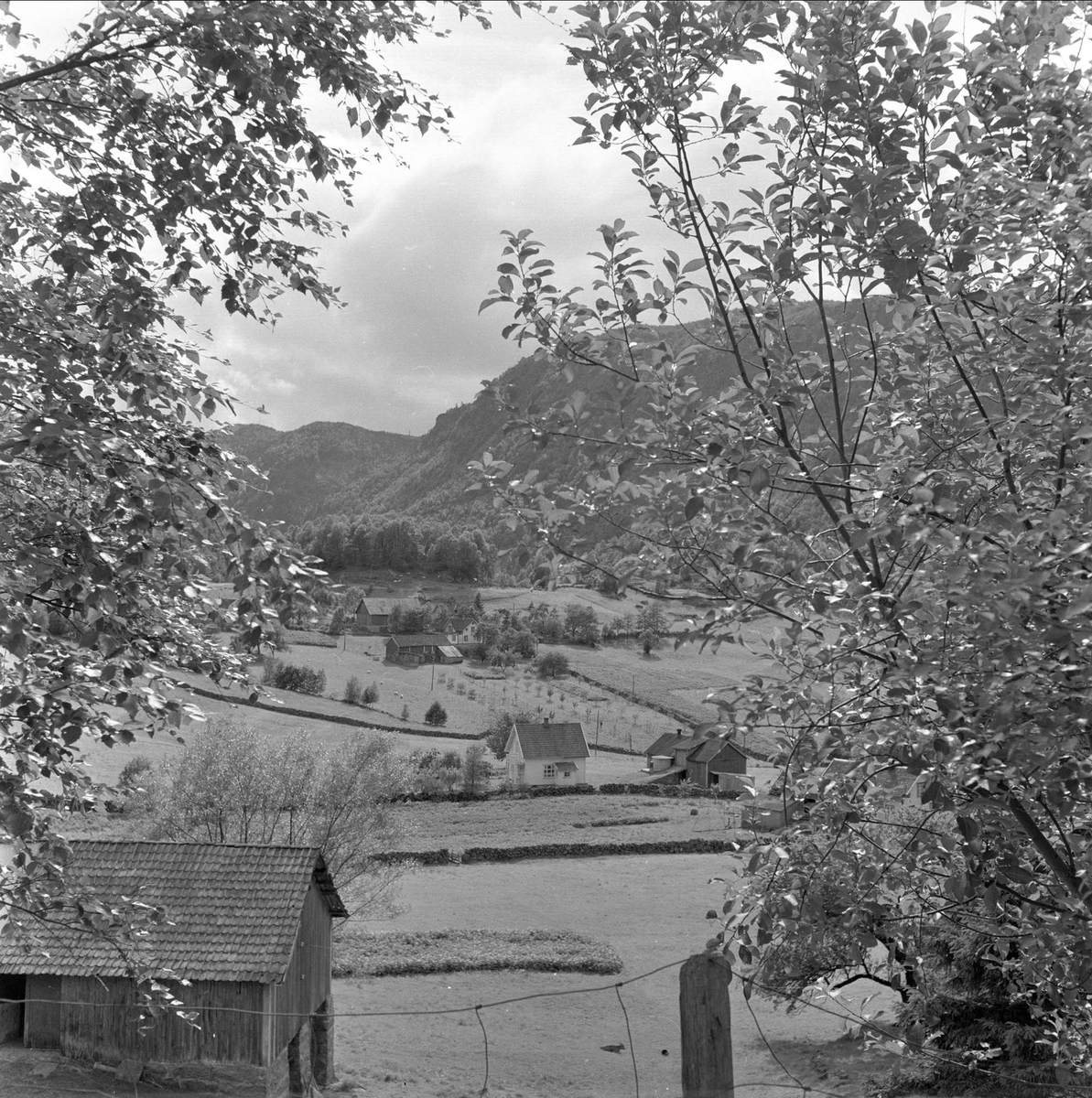 Kvinesdal, Vest-Agder, august 1958. Bebyggelse.