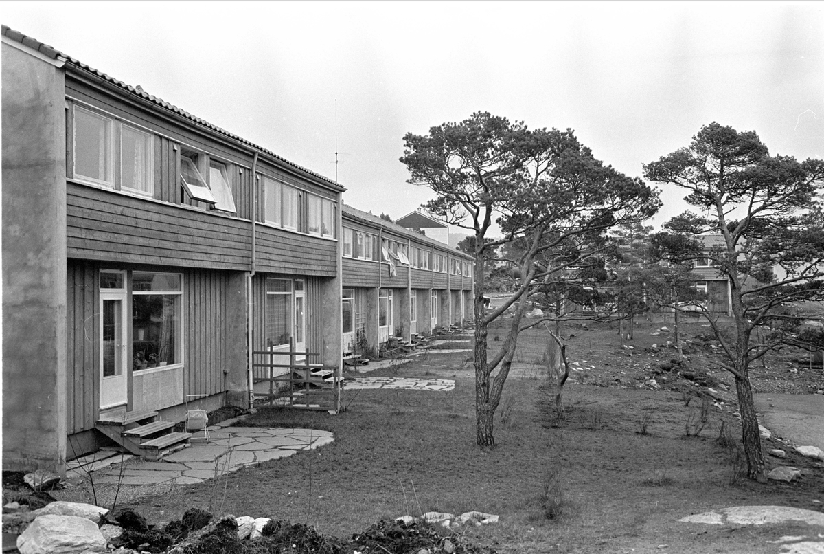 Bjørge, Bergen, 31.12.1962. Boligområde, rekkehus.