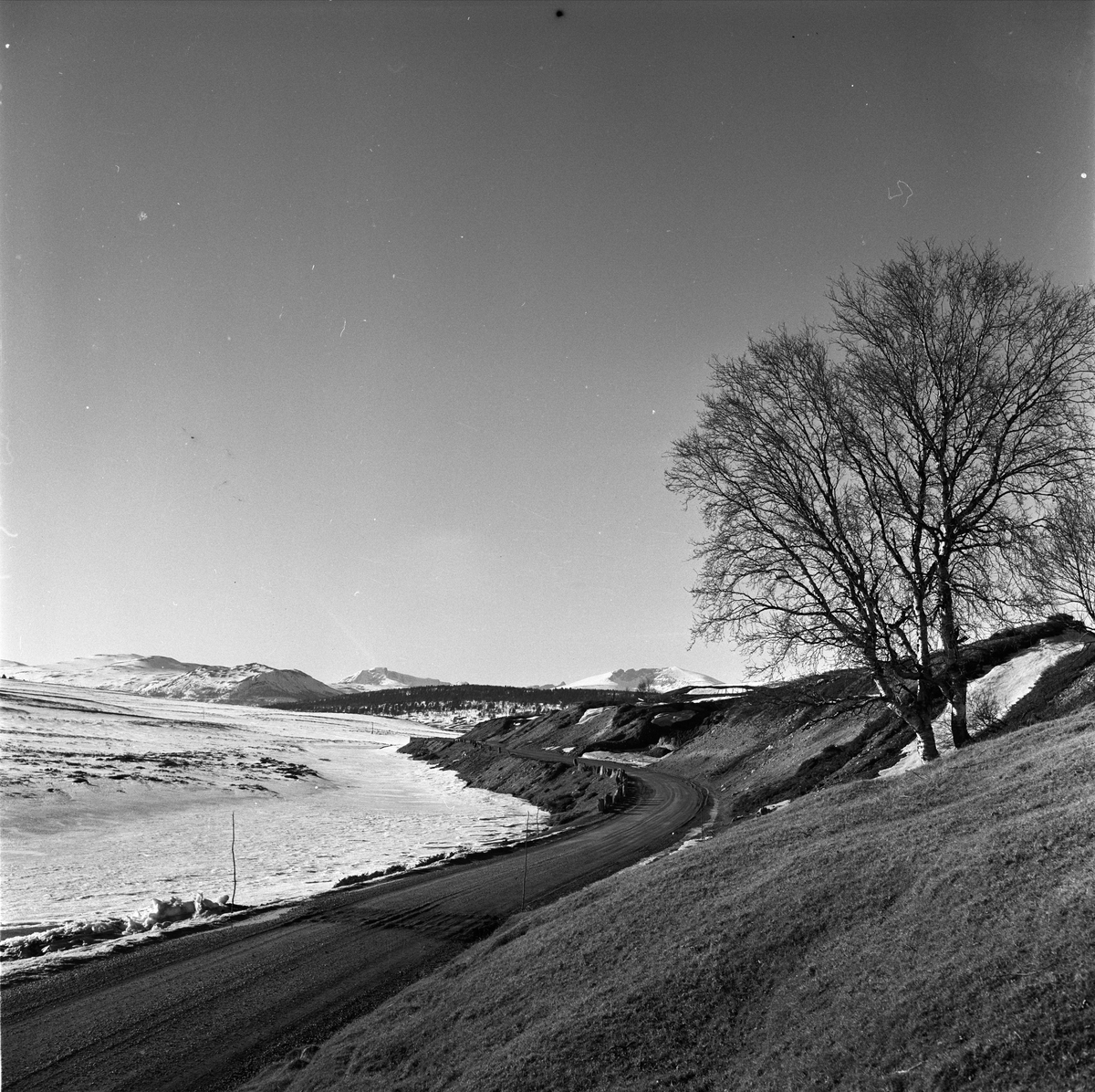 Snøhetta, Dovre, Oppland. Fjellandskap. Sett fra Folldalsveien.