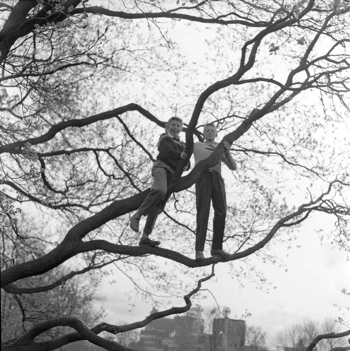 Oslo, 17.05.1958. 17. mai tog, tilskuere.