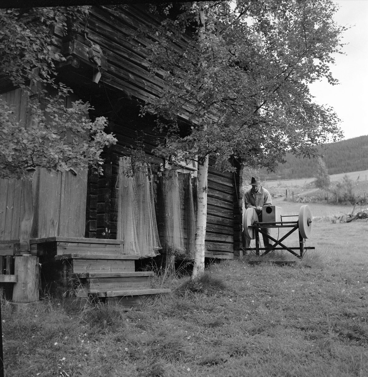 Vigerust, Dovre, Oppland, august 1959. Gårdsplass og bygninger.