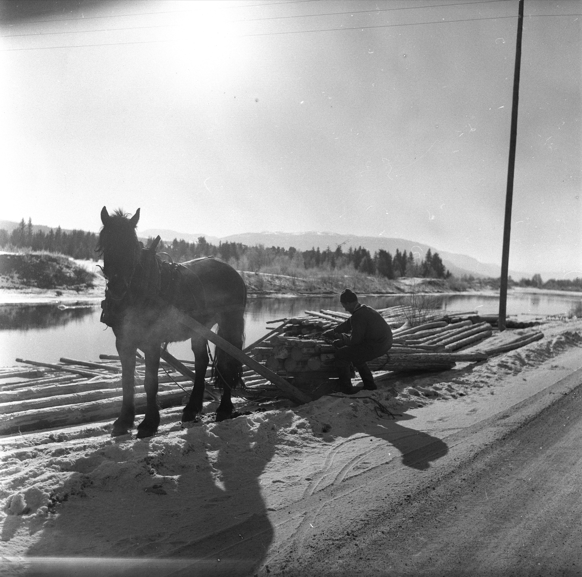 Østerdalen, mars 1959. Stemninger. Tømmertransport med hest.