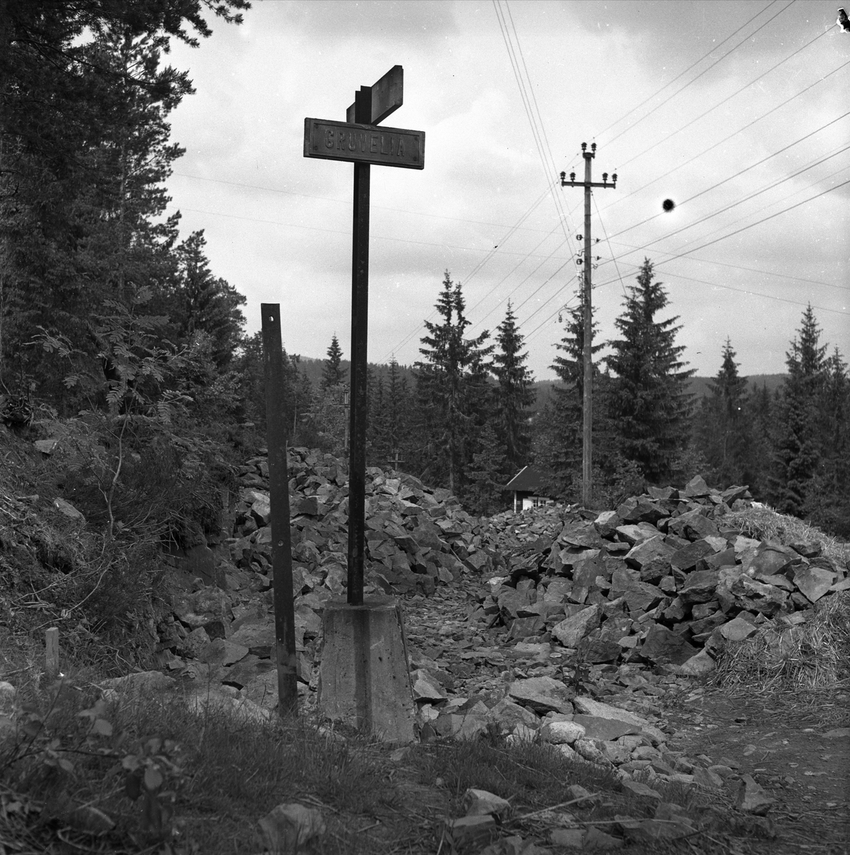 Ammerud, Oslo, juni 1954. Dårlig vei i skogen.