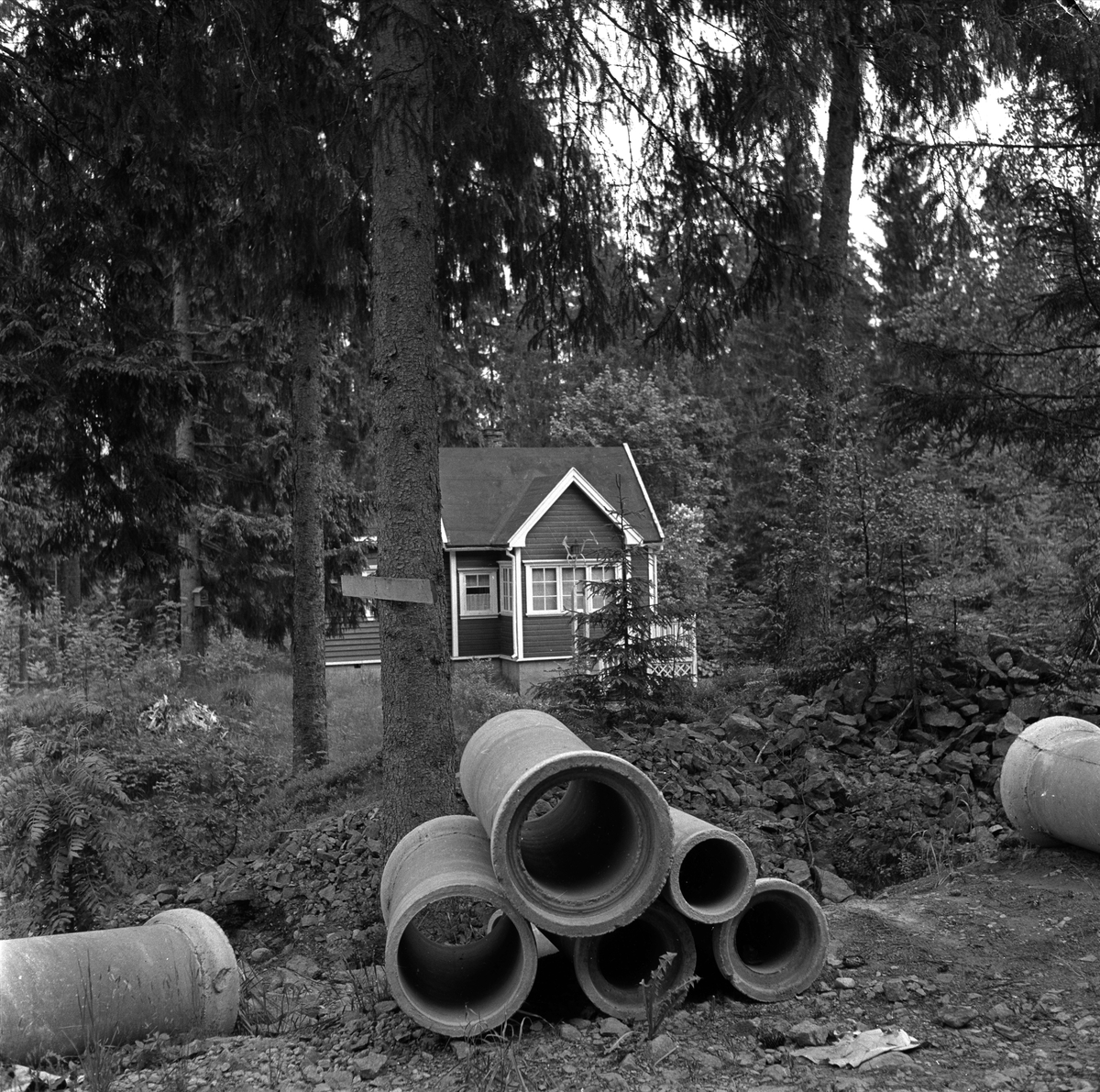 Ammerud, Oslo, juni 1954. Dårlig vei i skogen. Hytte og dreneringsrør.