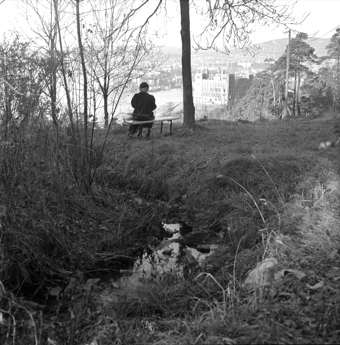 Person sitter på benk på Utsikten ved Ekeberg i 1955. Sjømannskolen skimtes i bakgrunnen.