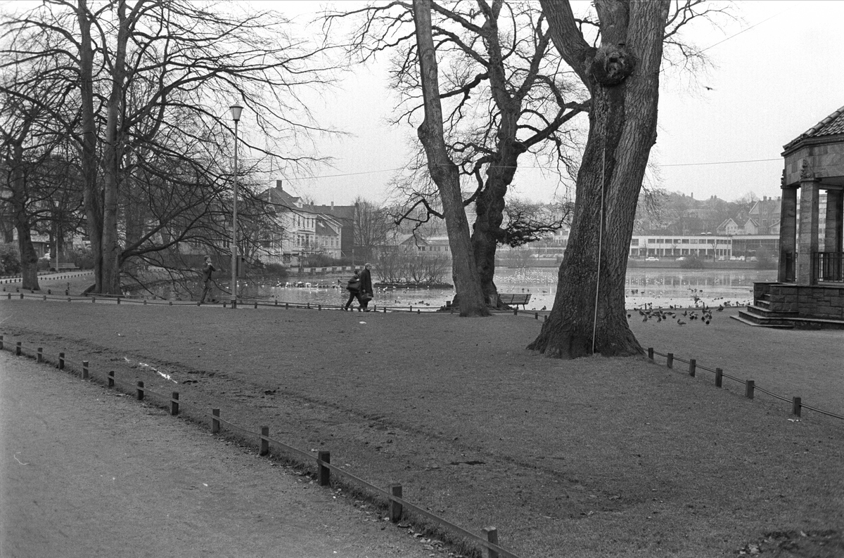 Fra Stavanger januar 1967. Park ved vann i Stavanger.