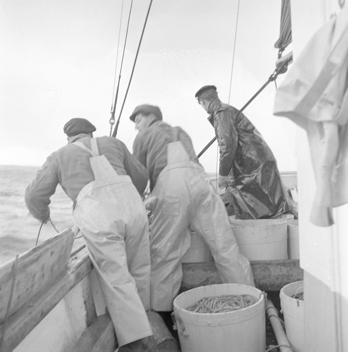 Pigghåfiske på Shetland.
Shetland, 14-22. mai 1958,tre menn i arbeid på dekk.