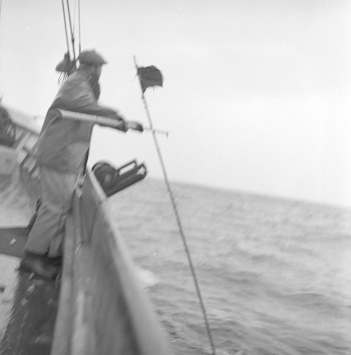 Pigghåfiske på Shetland.
Shetland, 14-22. mai 1958, fisker ved relingen.