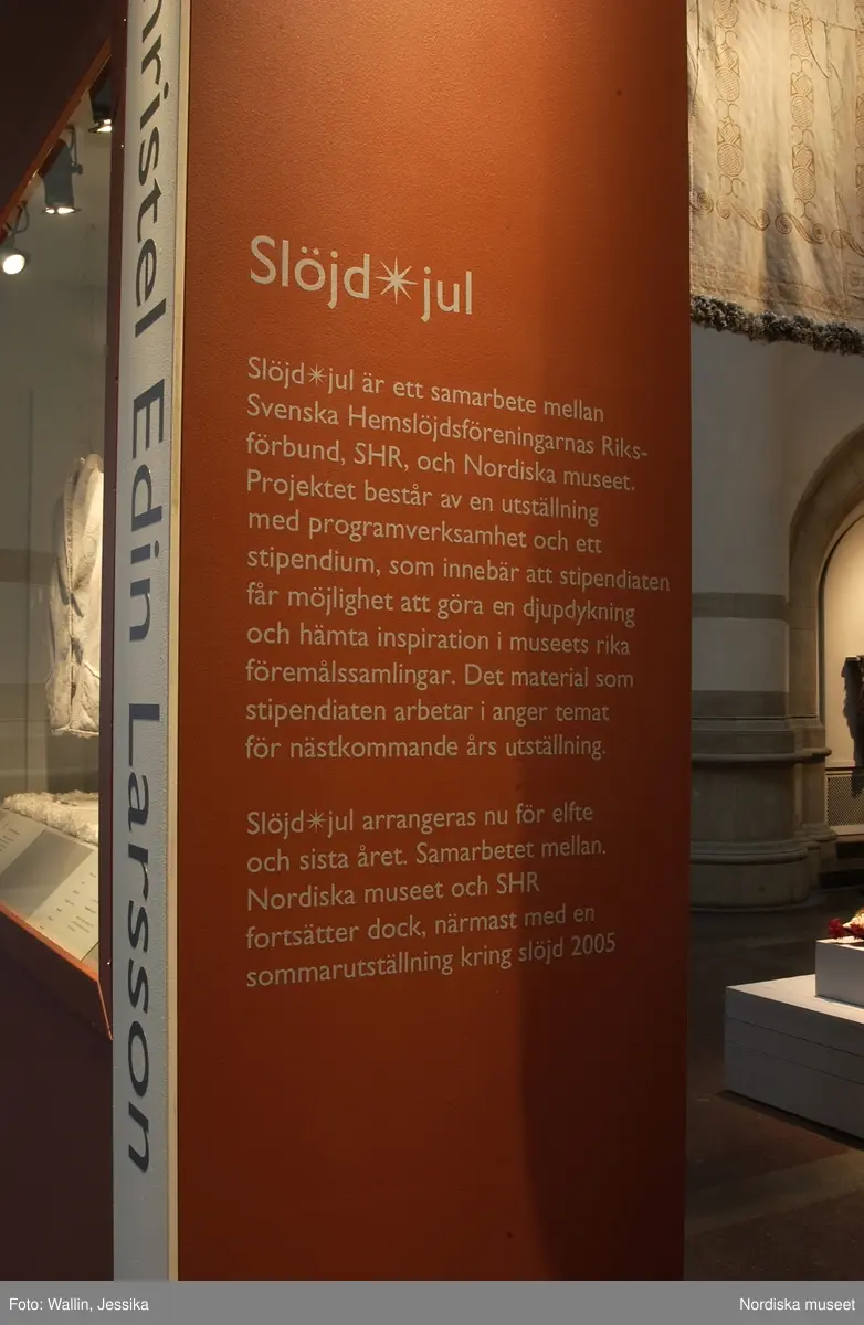 Utställningsdokumentation Slöjdjul skinn 2003.
