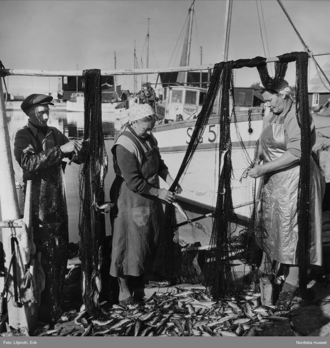 En man och två kvinnor plockar sill ur garnen vid fiskehamnen i Nogersund