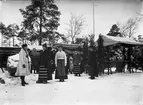 Skansens julmarknad.