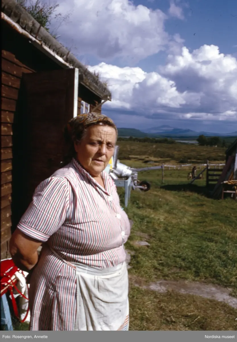 Bruksvallarna, fäbod, 1974. Byggnader, djur, människor och natur.