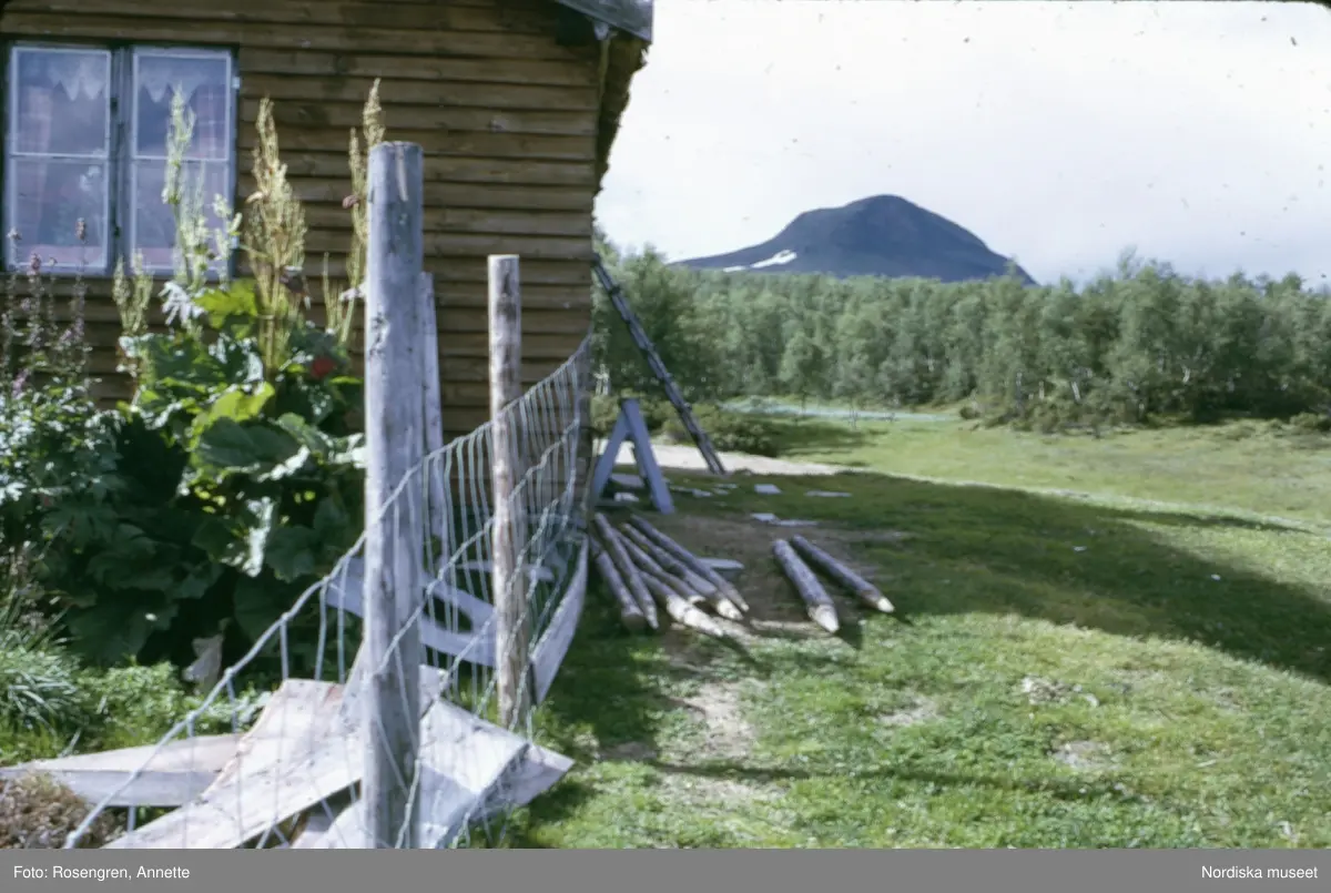 Bruksvallarna, fäbod, 1974. Byggnader, djur, människor och natur.