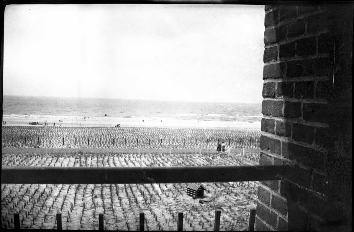 Reseskildring, bilder från Holland.