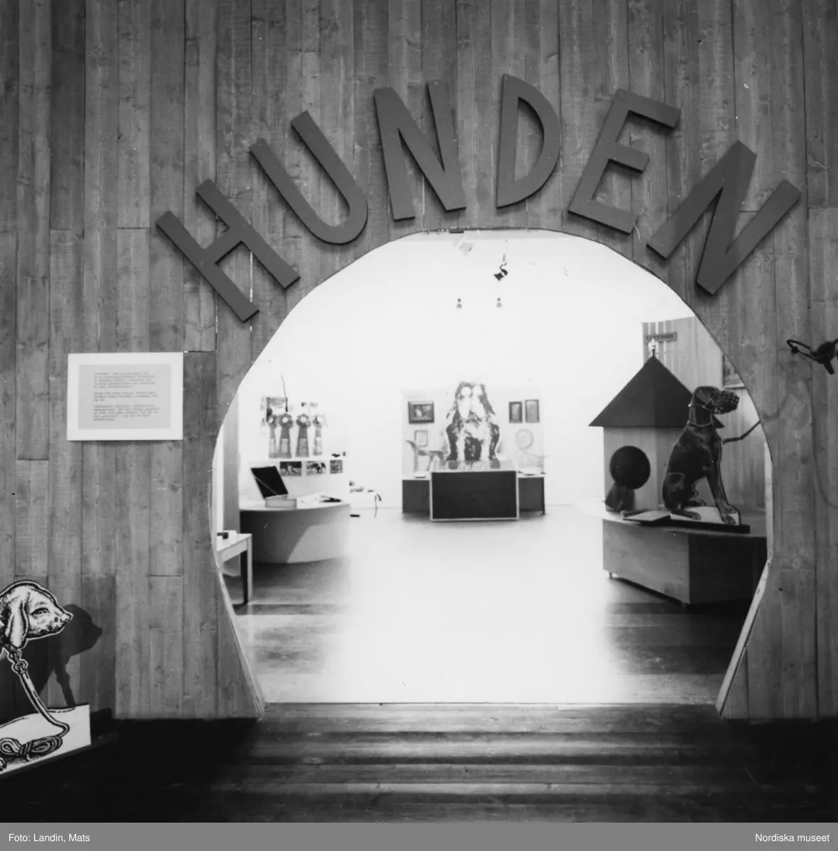 Utställningen "Hunden" på Nordiska museet 1989.Svartvit dokumentation av miljöer och montrar. Sagans hund, vakthunden mm