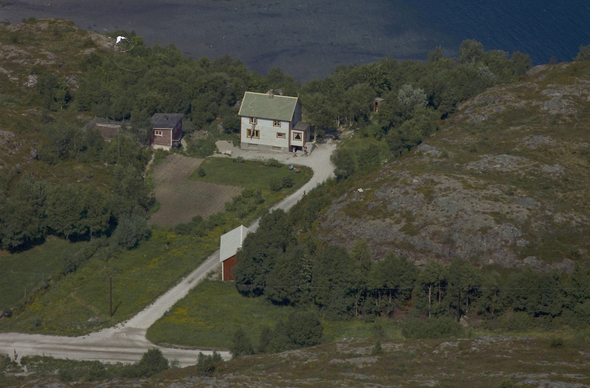 Skogly ved Langdal