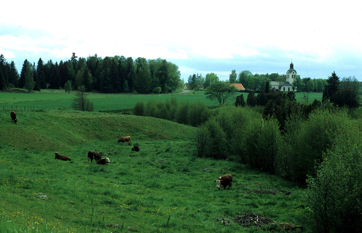 Landskapsvy vid Lötbäcken, Äsplunda, Breds socken, Uppland 1991