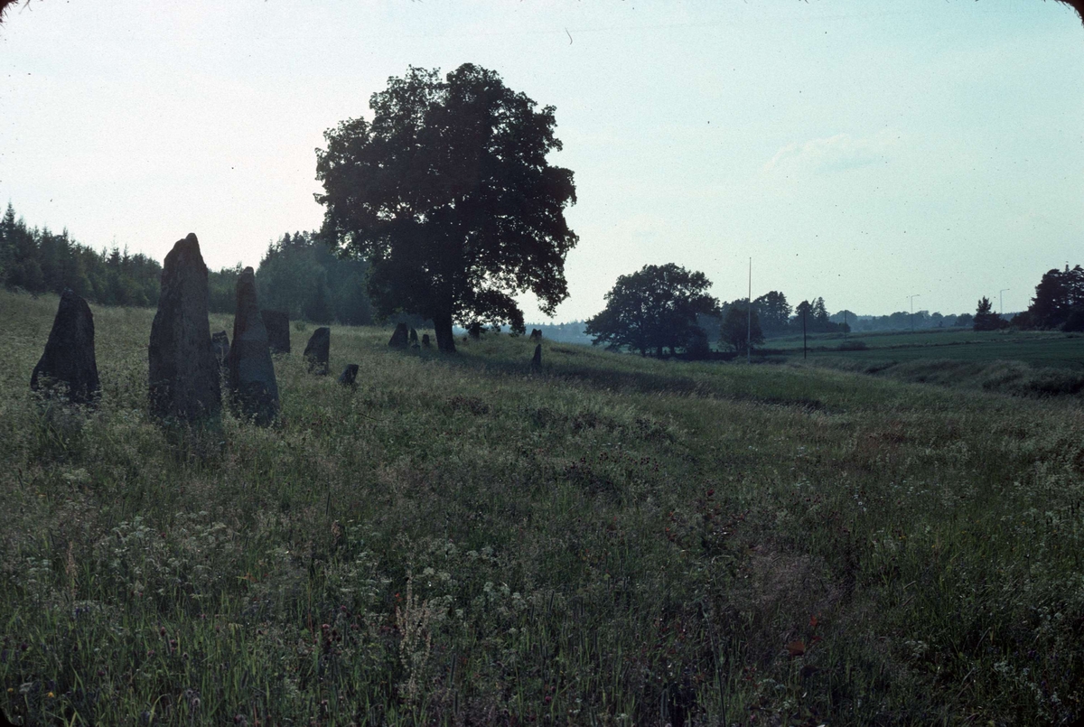Gravfältet med bautastenar nära Kvarnbo, Läby socken, Uppland 1992