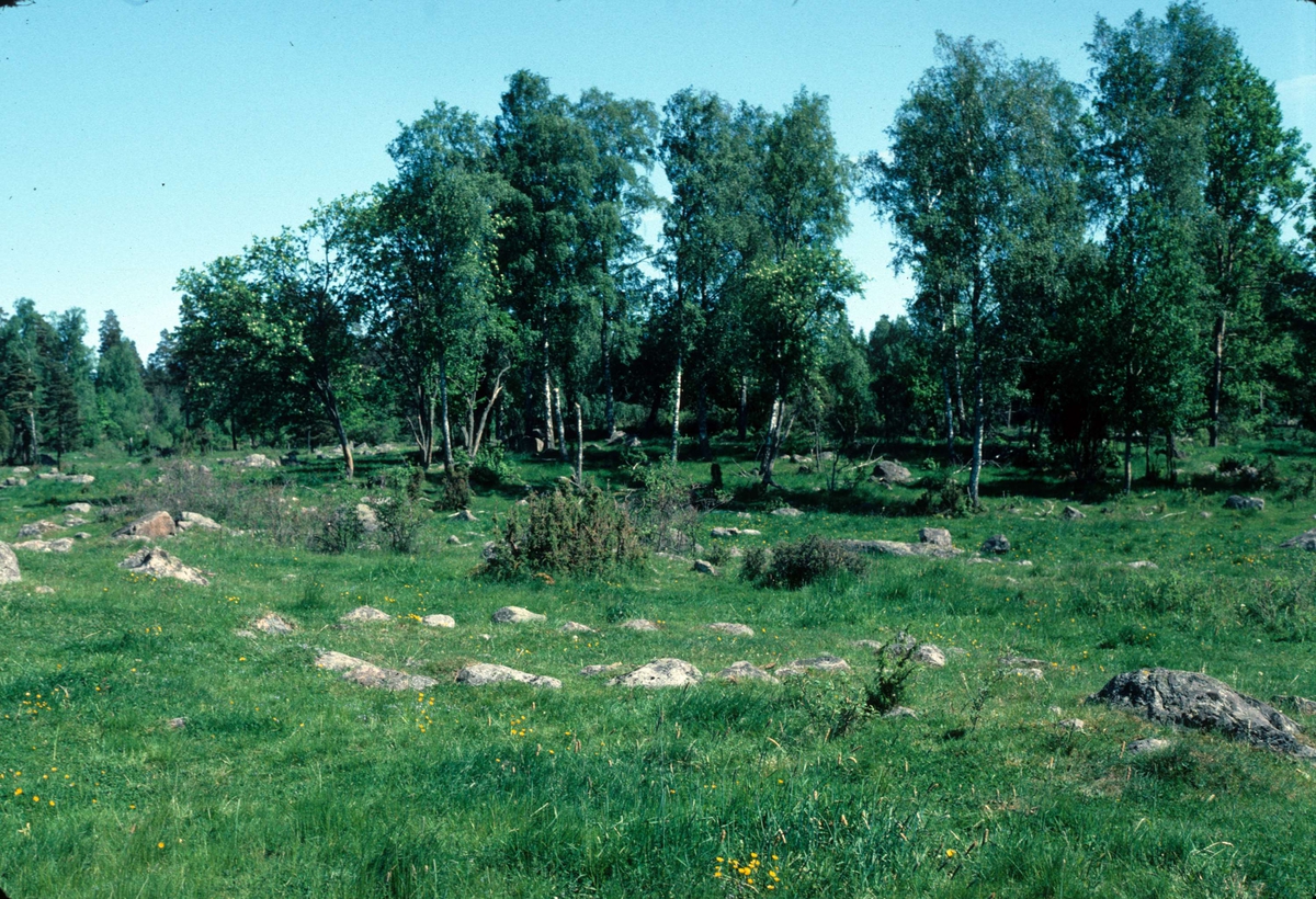 Hagmark vid Valloxen, Knivsta socken, Uppland 1979