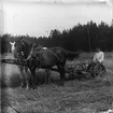 Skörd med hästdragen jordbruksmaskin, sannolikt Josef Ärnströms bror Albert Ärnström, Sonbo, Films socken, Uppland