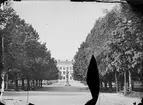 Kemikum, senare kallad Philologicum, i Carolinaparken, stadsdelen Kåbo, Uppsala 1860-tal