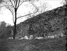 Muren vid bastion Gräsgården, Uppsala slott