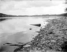 Strand vid Munkholmen nära Sigtuna, Uppland i augusti 1930