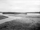 Dalälven vid Älvkarleby, Uppland augusti 1924