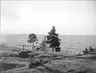 Berghäll vid kusten, Furuvik, Gästrikland september 1926