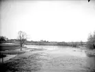 Tämnarån i Tierps socken, Uppland, maj 1921