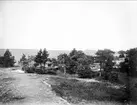 Havskust, Vätö socken, Uppland 1904