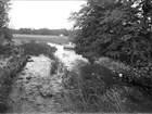 Funboån, Funbo socken, Uppland augusti 1929