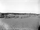 Strand vid Sandhamn, Stockholms skärgård 1927